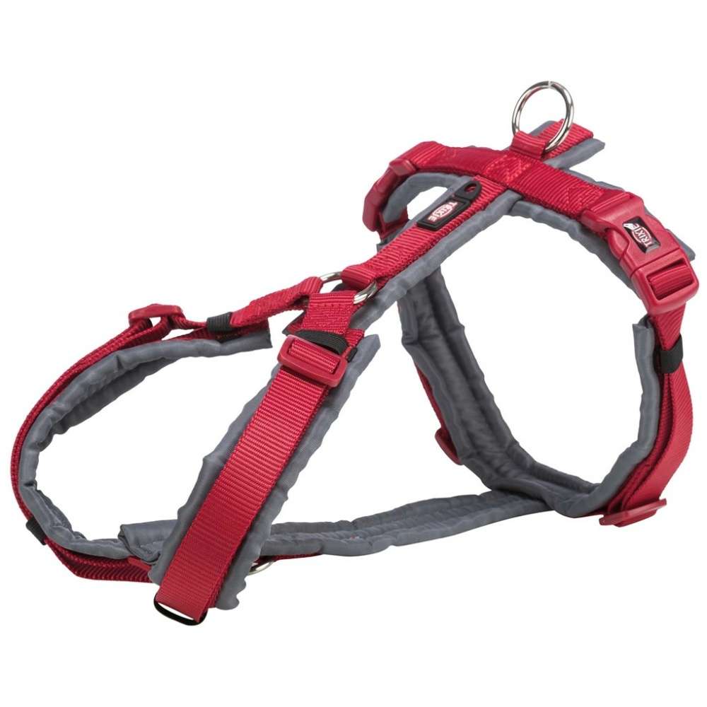 Premium-sparsele-S-36-44-cm15-mm-RodGrafit Premium spårsele