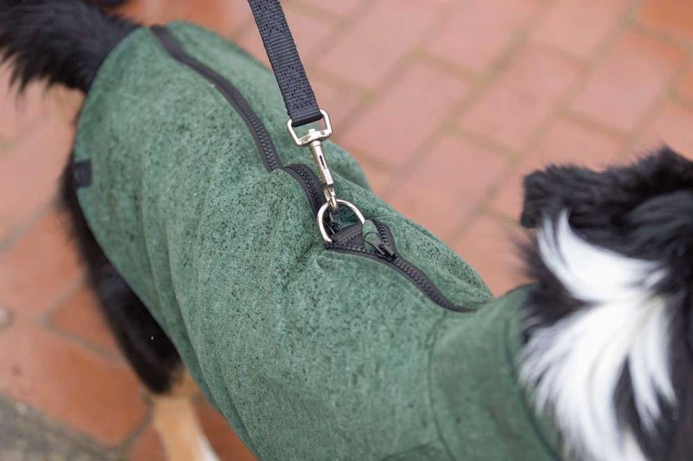 AustralianShepherd-Emma-Sweatshirt-CityStyle-Detail.jpg