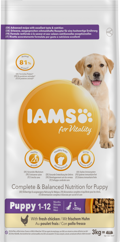 Iams Dog Puppy Large 3 kg