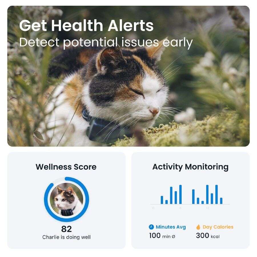 trcat5db_1_en.png