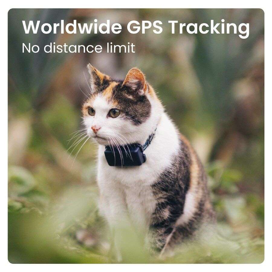 trcat5db_7_en.png