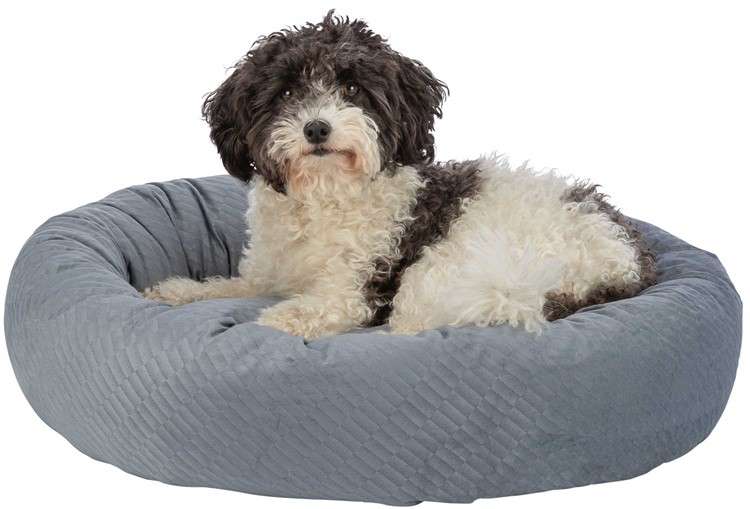 DOG_CLIP_37794-37795-1