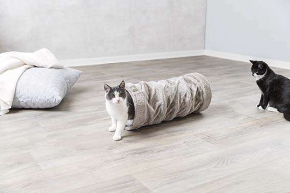 PHO_PRO_CAT_42982-3